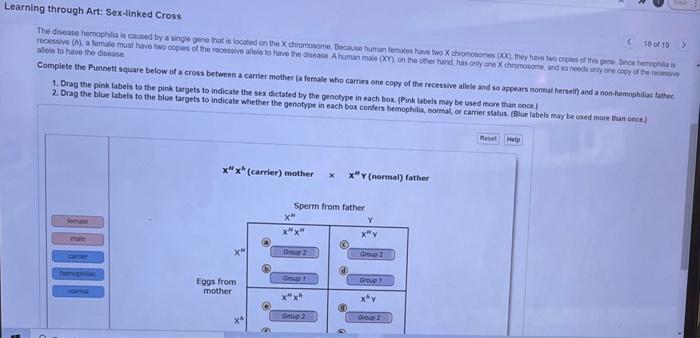 Monohybrid genetics