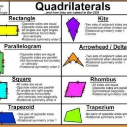 Unit 8 polygons and quadrilaterals