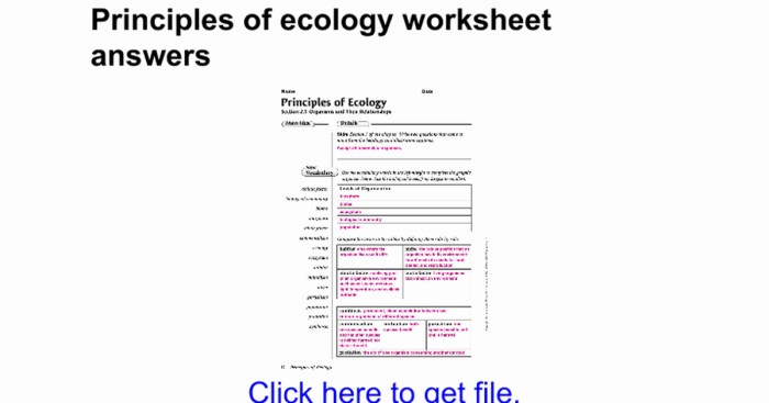 Chapter 13 principles of ecology answer key