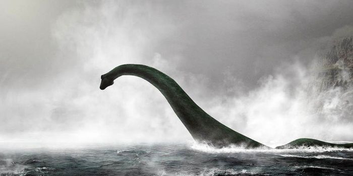 Ness loch monster worksheets nessie